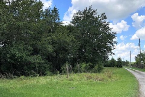 Terreno en venta en Plant City, Florida № 1816284 - foto 12