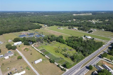 Terreno en venta en Plant City, Florida № 1816284 - foto 23