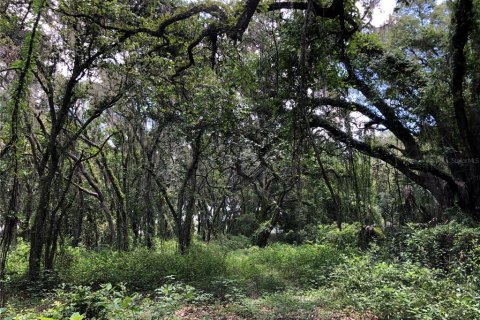 Terreno en venta en Plant City, Florida № 1816284 - foto 10