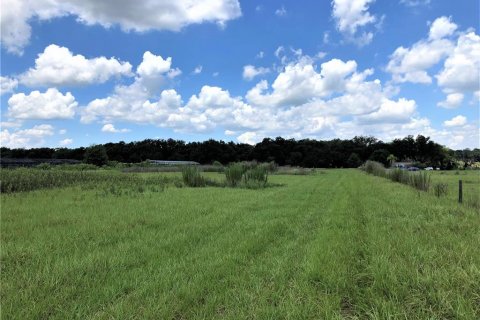 Terreno en venta en Plant City, Florida № 1816284 - foto 4
