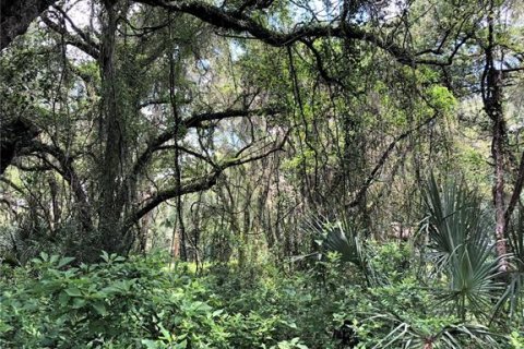 Terreno en venta en Plant City, Florida № 1816284 - foto 9