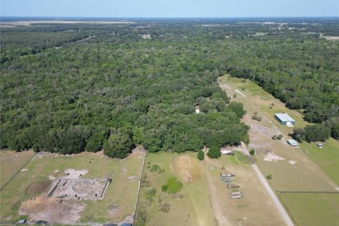 Terreno en venta en Plant City, Florida № 1816284 - foto 25