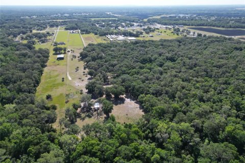 Terreno en venta en Plant City, Florida № 1816284 - foto 30