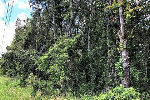 Terreno en venta en Plant City, Florida № 1816284 - foto 11