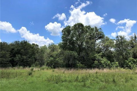 Terreno en venta en Plant City, Florida № 1816284 - foto 14