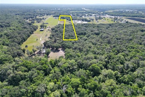 Terreno en venta en Plant City, Florida № 1816284 - foto 28