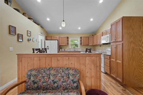 Villa ou maison à vendre à Branford, Floride: 3 chambres, 166.48 m2 № 2233343 - photo 9
