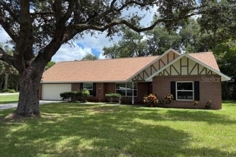 Villa ou maison à vendre à DeLand, Floride: 3 chambres, 152.92 m2 № 1914587 - photo 1