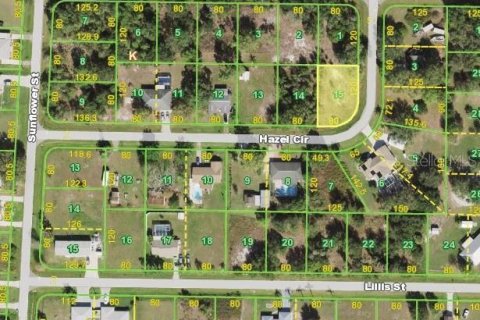 Land in Punta Gorda, Florida № 2163321