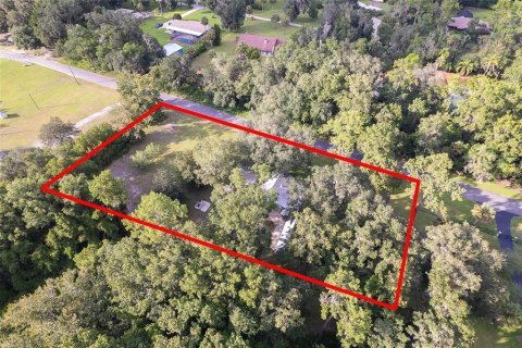 House in San Mateo, Florida 2 bedrooms, 175.4 sq.m. № 1883182 - photo 14