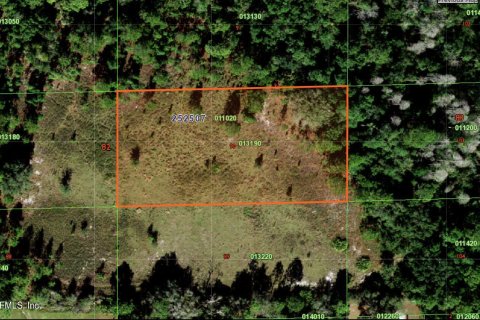 Land in Polk City, Florida № 774322 - photo 1