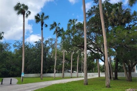 Land in DeBary, Florida № 1568326 - photo 1
