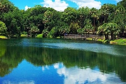 Land in DeBary, Florida № 1568326 - photo 2