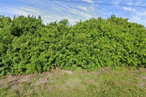 Land in Englewood, Florida № 2374014 - photo 2