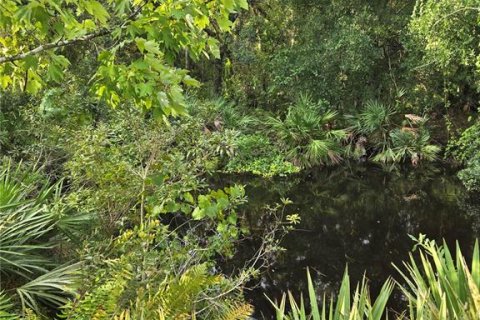 Terreno en venta en Okeechobee, Florida № 1313136 - foto 5