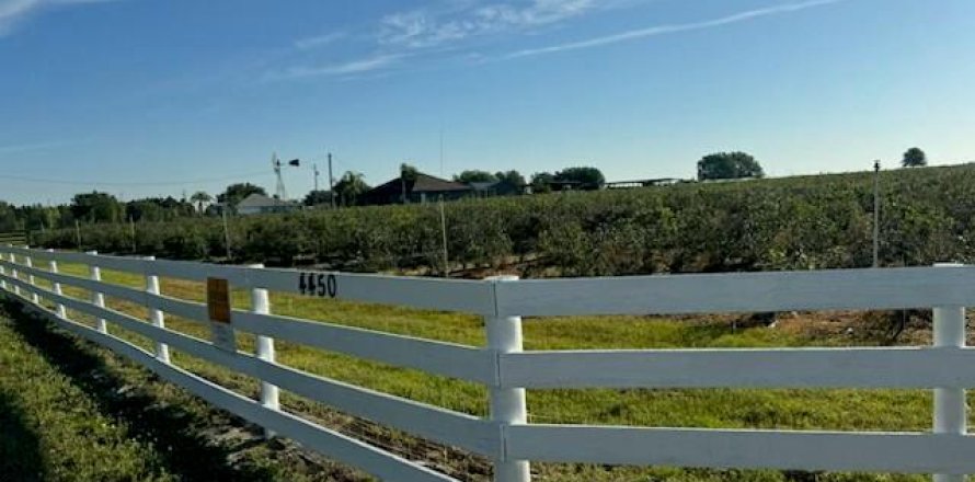 Immobilier commercial à Winter Haven, Floride № 2242268