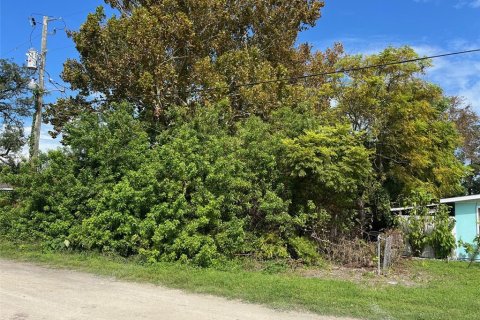 Land in Hudson, Florida № 2160376 - photo 2