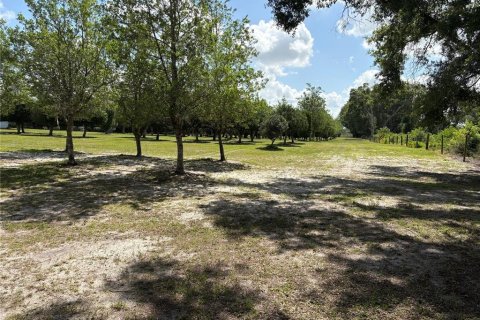 Купить коммерческую недвижимость в Самтер, Флорида 110.37м2, № 2221996 - фото 21