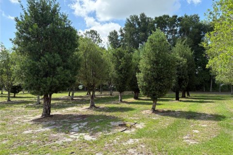 Купить коммерческую недвижимость в Самтер, Флорида 110.37м2, № 2221996 - фото 7