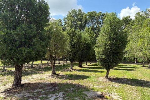 Купить коммерческую недвижимость в Самтер, Флорида 110.37м2, № 2221996 - фото 8