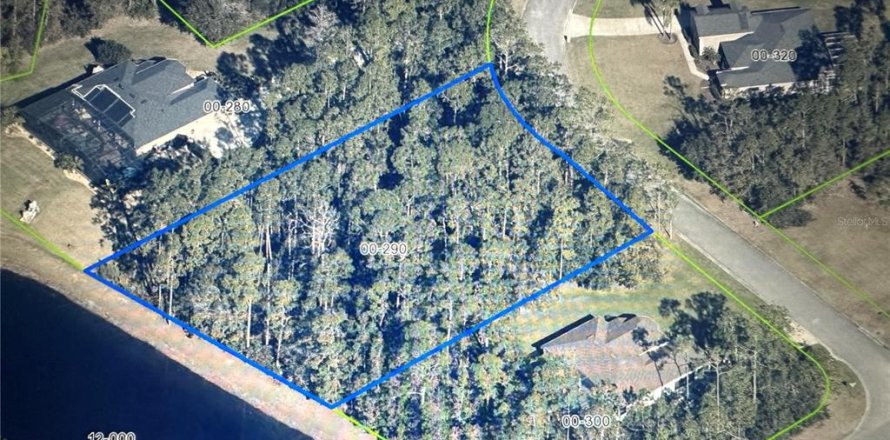 Terreno en Orlando, Florida № 1898927