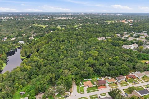 Villa ou maison à vendre à Tampa, Floride: 6 chambres, 411.28 m2 № 2322607 - photo 29