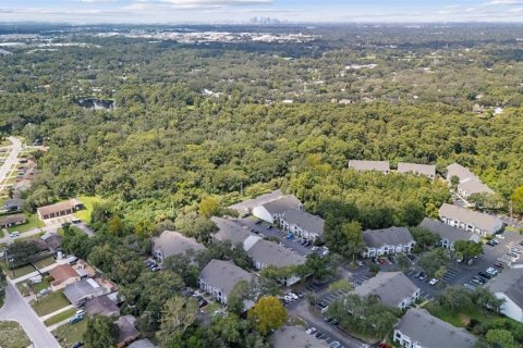 Villa ou maison à vendre à Tampa, Floride: 6 chambres, 411.28 m2 № 2322607 - photo 27