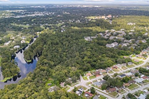 Villa ou maison à vendre à Tampa, Floride: 6 chambres, 411.28 m2 № 2322607 - photo 23