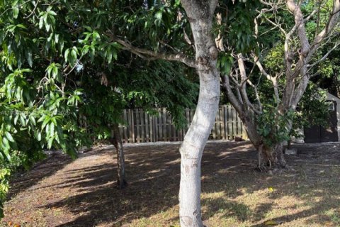 Villa ou maison à louer à Miami, Floride: 2 chambres, 102.66 m2 № 1989015 - photo 16