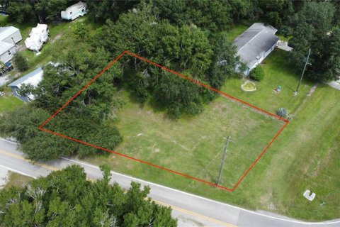 Terreno en venta en Arcadia, Florida № 1914824 - foto 2