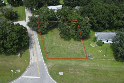 Terreno en venta en Arcadia, Florida № 1914824 - foto 1