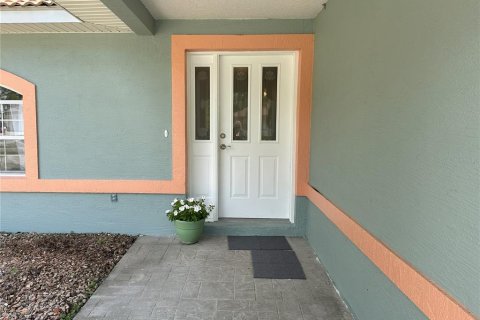 House in Palm Coast, Florida 3 bedrooms, 171.5 sq.m. № 1885158 - photo 10