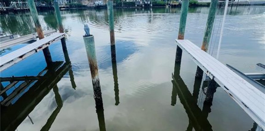 Condominio en Clearwater, Florida, 1 dormitorio  № 2167668