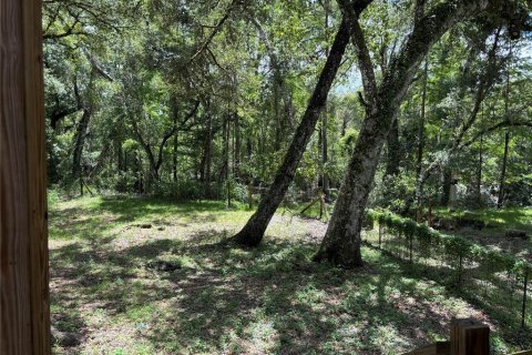 Купить виллу или дом в Уэбстер, Флорида 5 комнат, 55.74м2, № 1815061 - фото 9