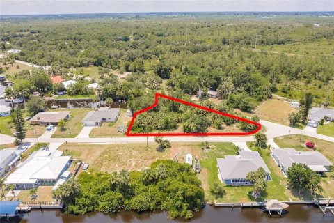 Land in Punta Gorda, Florida № 1758285 - photo 11