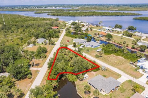 Land in Punta Gorda, Florida № 1758285 - photo 1