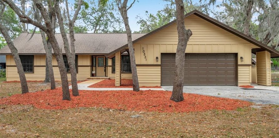 House in New Port Richey, Florida 3 bedrooms, 166.39 sq.m. № 1733232