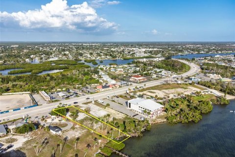Land in Englewood, Florida № 2212853 - photo 7