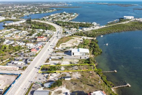 Land in Englewood, Florida № 2212853 - photo 8