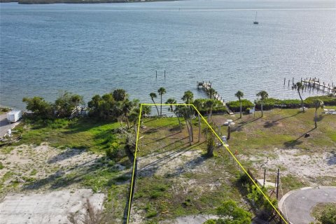 Land in Englewood, Florida № 2212853 - photo 24