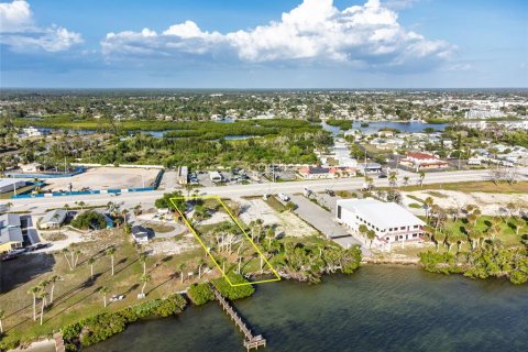 Land in Englewood, Florida № 2212853 - photo 6