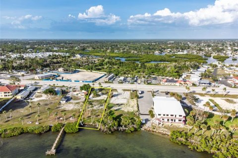 Land in Englewood, Florida № 2212853 - photo 5