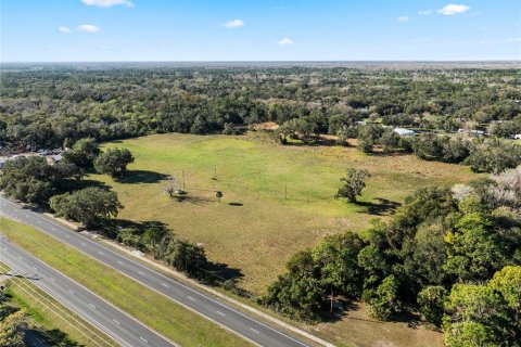 Land in Edgewater, Florida № 1733426 - photo 10