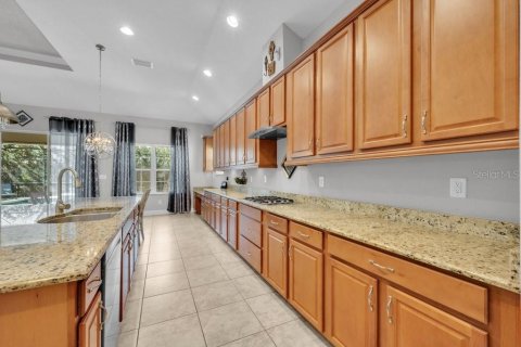 House in Fish Hawk, Florida 4 bedrooms, 300.17 sq.m. № 2204276 - photo 14