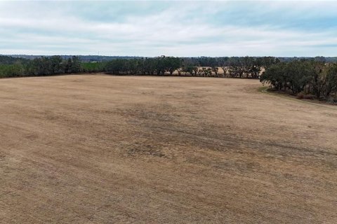 Land in Live Oak, Florida № 1570159 - photo 9