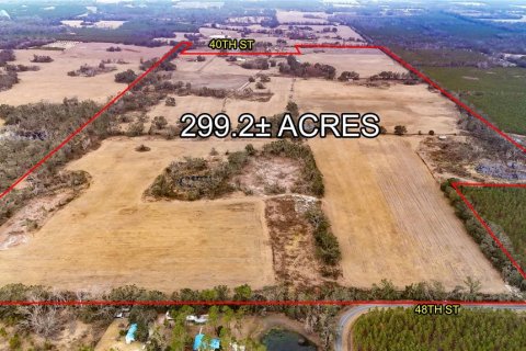 Land in Live Oak, Florida № 1570159 - photo 2