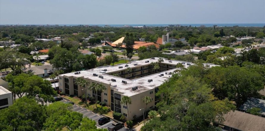 Condo in Largo, Florida, 1 bedroom  № 1812822