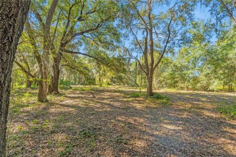House in Lady Lake, Florida 3 bedrooms, 140.47 sq.m. № 2410075 - photo 30