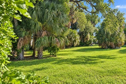 Land in Sarasota, Florida № 2396234 - photo 4