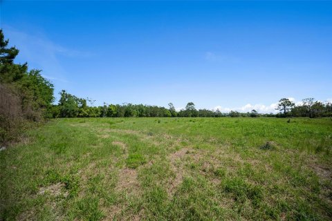 Land in Waldo, Florida № 1631733 - photo 17